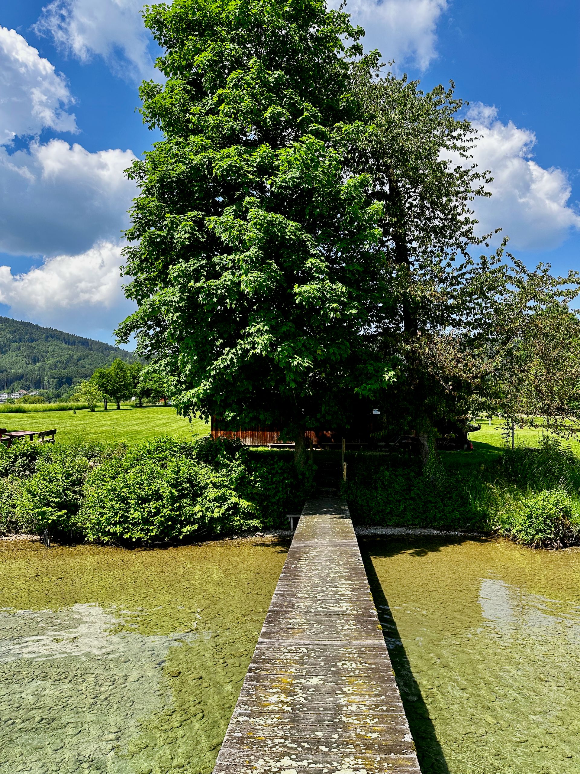 Badeplatz Steg Richtung Land